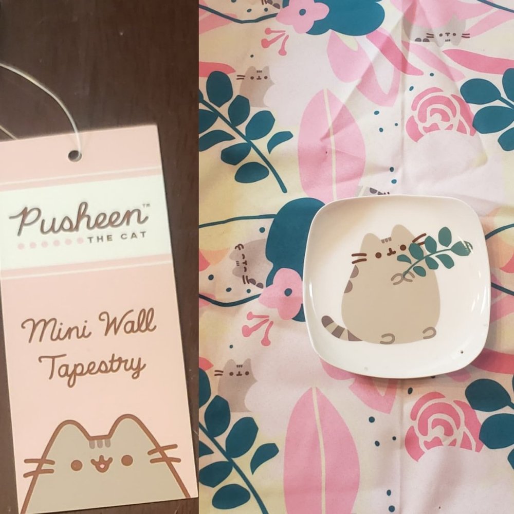 Pusheen Exclusive combo